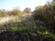 Кіровськ з panoramio.com