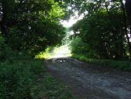 Рубанка з panoramio.com