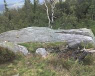 Пшеничники з panoramio.com