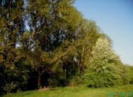 Климівка з panoramio.com