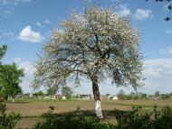 Завалля з panoramio.com