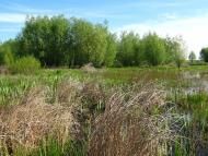 Льгівка з panoramio.com