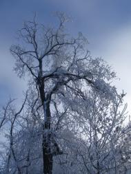 Усатове з panoramio.com