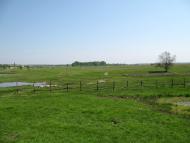 Зачепилівка з panoramio.com