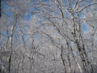 Червона Поляна з panoramio.com