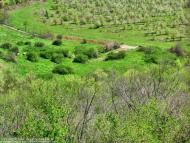 Некрасовка з panoramio.com