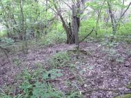 Остапенки з panoramio.com