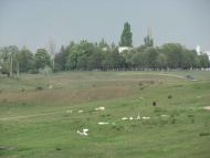 Теплівка з panoramio.com