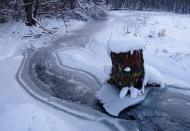 Скалівські Хутори з panoramio.com