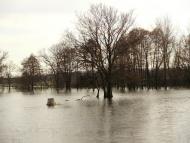 Санжари з panoramio.com