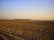 Ставники з panoramio.com