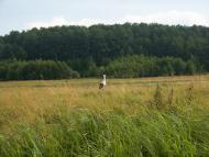 Березова Гать з panoramio.com