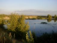 Вишневий Діл - Останні фото