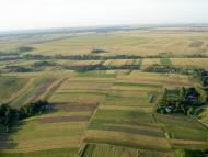 Максимівка з panoramio.com