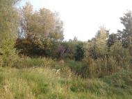 Березань з panoramio.com