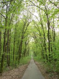 Будище з panoramio.com