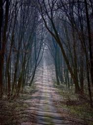 Будище з panoramio.com