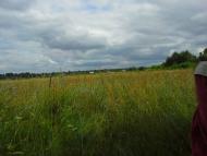 Вирка з panoramio.com