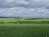 Добра Надія з panoramio.com