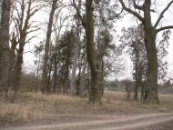 Роздольне з panoramio.com