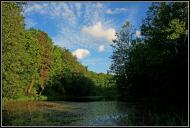 Хрипаличі з panoramio.com