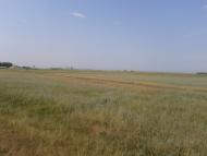 Роздольне з panoramio.com