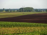 Стаївка з panoramio.com