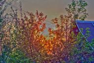 Соколове з panoramio.com