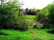 Яблунівка з panoramio.com