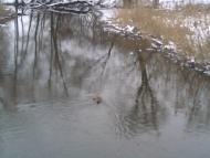 Семенівка з panoramio.com