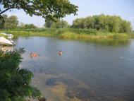 Сокирна з panoramio.com