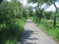 Кулиничі з panoramio.com