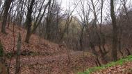 Никонорівка з panoramio.com