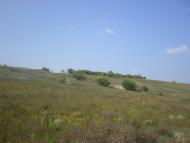 Радісне з panoramio.com