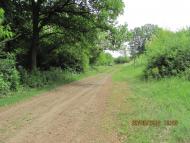 Бузникувате - Останні фото