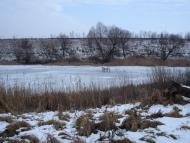 Цибулеве з panoramio.com