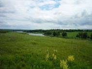 Вільховець з panoramio.com