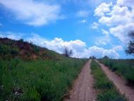 Хрящувате з panoramio.com