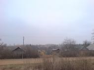 Бузникувате з panoramio.com