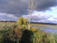 Косяківка з panoramio.com