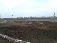 Рогачі з panoramio.com