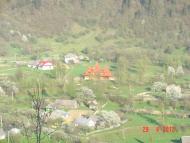 Пасічна з panoramio.com