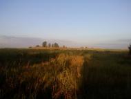 Вишневий Діл з panoramio.com