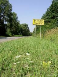 Хрипаличі з panoramio.com