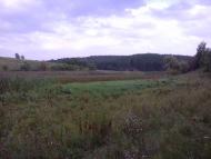 Половецьке з panoramio.com