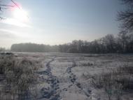 Яблуневе - Останні фото