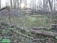 Барилівка з panoramio.com