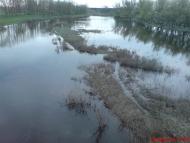 Царичанка з panoramio.com