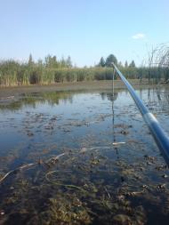 Дівички з panoramio.com