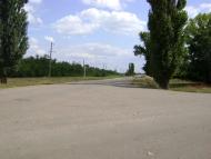 Комар з panoramio.com